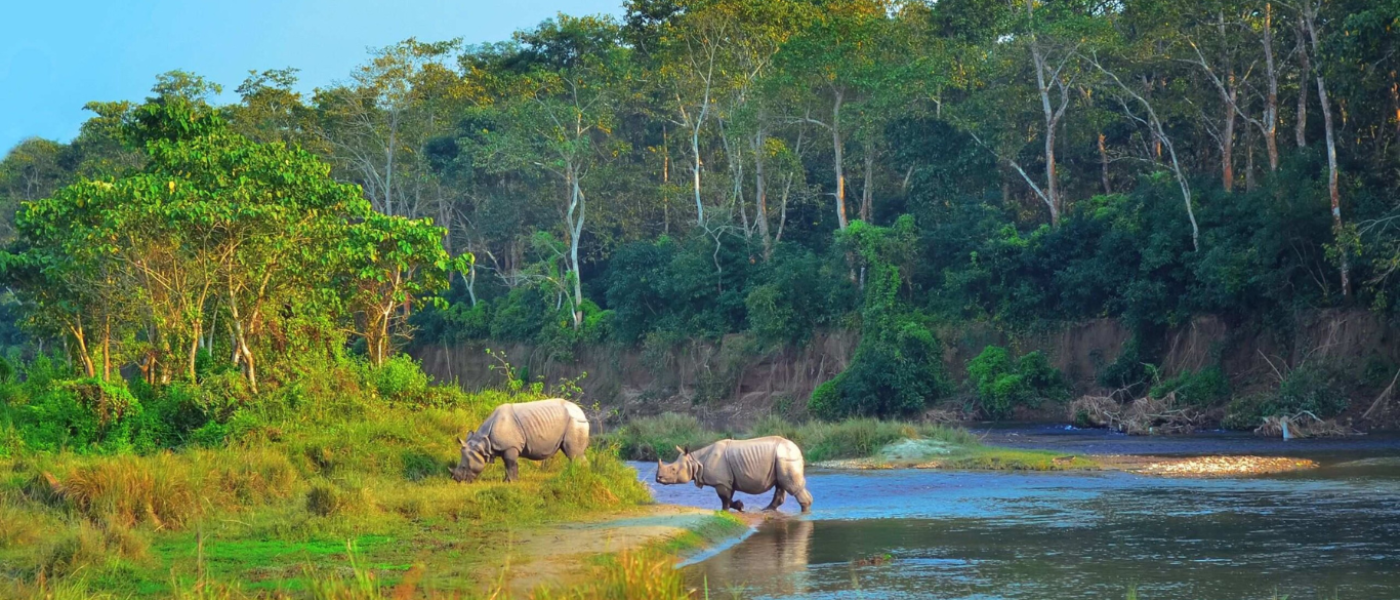 chitwan natinal park